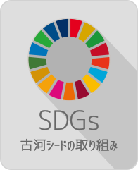 SDGs
